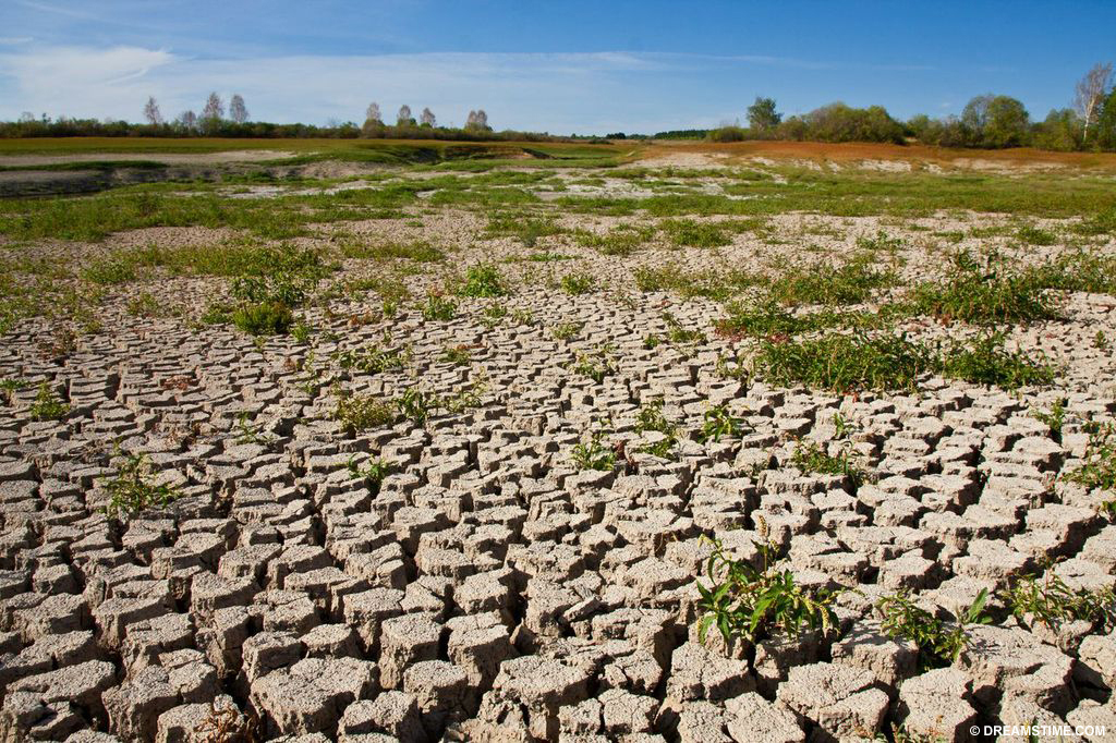 what-is-soil-erosion-and-explain-the-major-types-of-soil-erosion